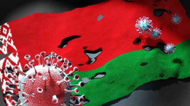Covid in Belarus - coronavirus attacking a national flag of Belarus as a symbol of a fight and struggle with the virus pandemic in this country, 3d illustration