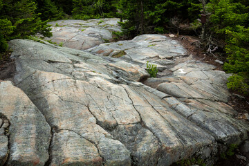 Glacial grooves and striations at the summit of Mt. Kearsarge.