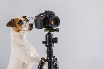 Dog jack russell terrier with glasses takes pictures on a camera on a tripod on a white background