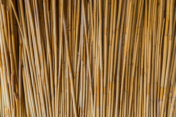 Dry reed fence. Background from dry reed sticks.