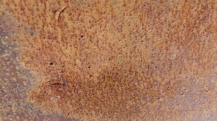 Rusty sheet, old metal texture, background. Russet textured backdrop. Sample template.