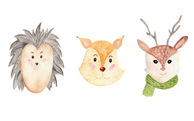 Watercolor collection of illustrations of wild animals. 