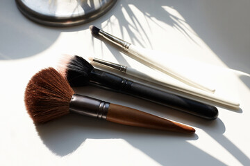 Make-up Brushes set over white background. Various Professional makeup brush in sunlight