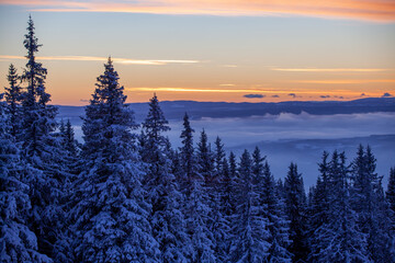 Kvitfjell Ski Resort landscape. Frozen snow-covered firs at orange sunset 