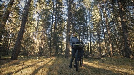 The woman travel on mixed terrain cycle touring with bike bikepacking outdoor. The traveler journey with bicycle bags. Stylish bikepacking, bike, sportswear in green black colors. Magic forest park.