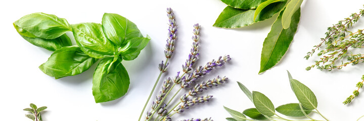 Herbs, overhead flat lay panorama on a white background. Bunches of basil, lavender, thyme and various other aromatic garden plants