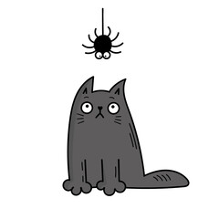 A cute gray cat looks at a spider. Halloween. Doodle style illustration