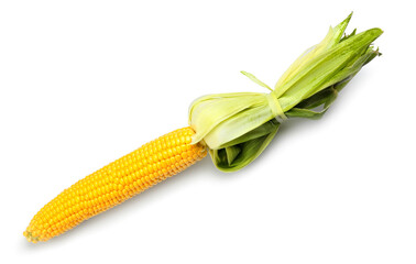 Fresh corn cob on white background