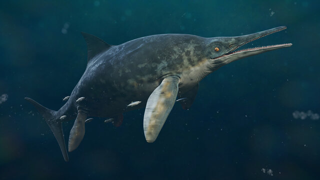 Ichthyosaurus Bilder Durchsuchen 380 Archivfotos, und