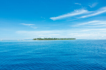 Obraz premium フィリピン、セブ島の近くのカランガマン島を晴れた日に撮影した写真 Photo of Kalanggaman Island near Cebu, Philippines, taken on a sunny day.