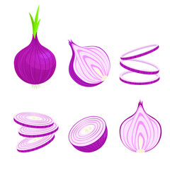 Onions whole and in slices set. Fresh purple vegetable for seasoning and baking half and cut thin rings for salad and garnish natural wholesome and natural diet. Vector cartoon harvest.