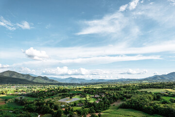 Obraz premium Rice field ,Aerial view of rice fields