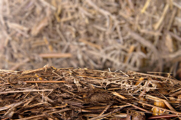 Close up view of soil ground