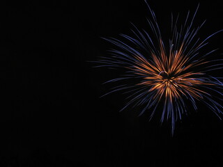 Obraz premium Feuerwerk Silvester Pyrotechnik Spektakel Jubiläum - M21