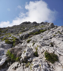 Wanderung auf den Mittagskogel/Bärenkogel nahe Faaker See