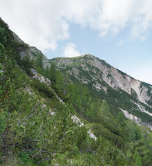 Wanderung auf den Mittagskogel/Bärenkogel nahe Faaker See