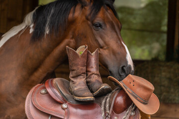 Equipment for western riding in front of a horse. A Western saddle, boots and a cowboy hat with a...