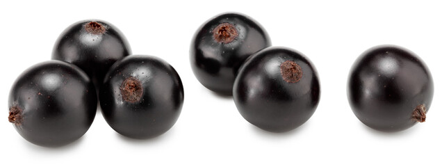 black currant isolated on white background. macro. clipping path
