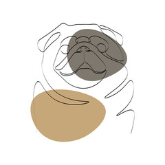 Continuous one line drawing with cute pug. Contemporary vector illustration on white background. Black line art on white background with colorful spots.