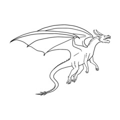 Dragon Fantasy Creature Line Art 