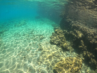 Naklejka na ściany i meble Underwater world of Mediterranean Sea. Near Marmaris, Turkey