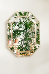 The reflection of indoor plants in a decorative mirror hanging on a white wall.Home interior design..Biophillia design.Urban jungle.Selective focus.
