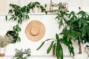 Home interior design.A mirror and a straw hat on a white wall,houseplants and a creative vase with...