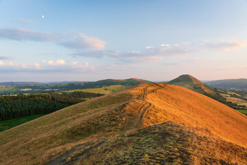 Obraz premium Golden hour on the Lawley ridge with the iconic hill of Caer Caradoc ahead, July Shropshire Hills West Midlands