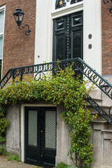 Fototapeta na wymiar brick wall building with ivy in Amsterdam