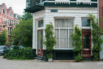 brick wall building  with ivy in Amsterdam