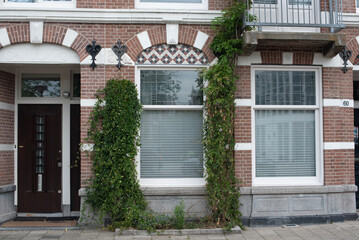 Fototapeta na wymiar brick wall building with ivy in Amsterdam