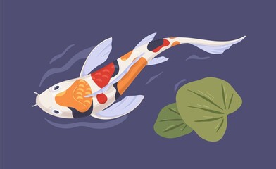 Japanese spotty koi fish swimming in garden pond with leaf. Top view of Asian decorative carp in water. Tranquil aquatic oriental animal in Japan. Colored flat vector illustration