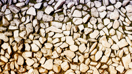 Dense number of various pebble stone pattern are use as background image.