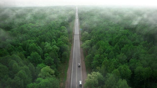 Forest fires. A lonely road in the forest among the fire smoke and smog. The concept of protecting forests and the planet from emissions.