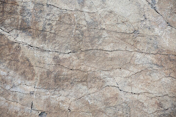 texture of a aged and damaged wall surface