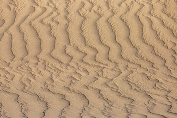 Background with shapes of the desert sand