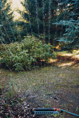 Fototapeta premium Lawn sprinkler spaying water over green grass at garden park. Irrigation system