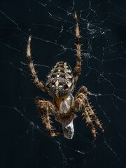 Having a break - Frühstückspause