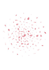 Pastel Apple Petal Vector White Background. Color