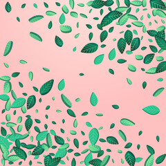 Olive Leaves Fly Vector Pink Background