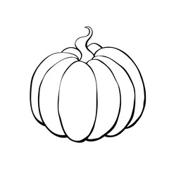 Vector outline pumpkin in doodle style. Black contour isolated on white background. Symbol Halloween, autumn, crop, thanksgiving day, fruitful year