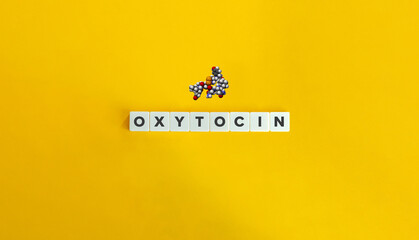 Oxytocin CPK 3D model banner and concept. Block letters on bright orange background. Minimal...