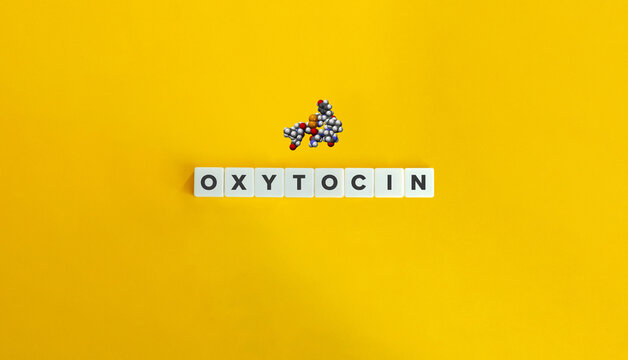 Oxytocin CPK 3D model banner and concept. Block letters on bright orange background. Minimal aesthetics.
