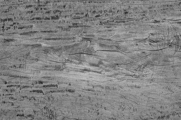 Gray wood texture. Abstract wood use as natural background surface with old natural pattern..
