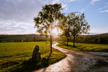 road in the countryside with sunset