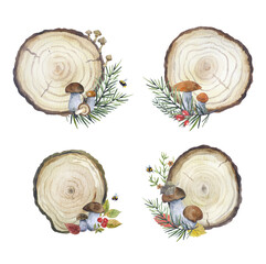 Watercolor autumn compositions. A sketch made of boards, mushrooms and leaves. illustration on white background.