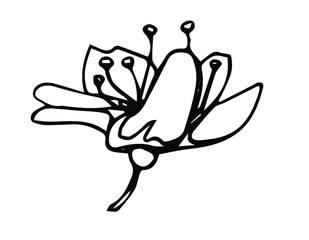 Sakura flower doodle icon. Back line isolated on white. One line contour floral drawing.Vector illustration