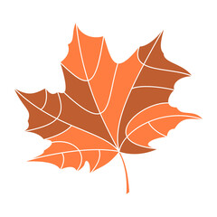 Maple leaf