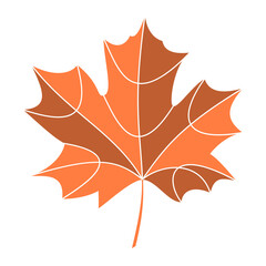 Maple leaf
