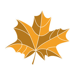 Maple leaf